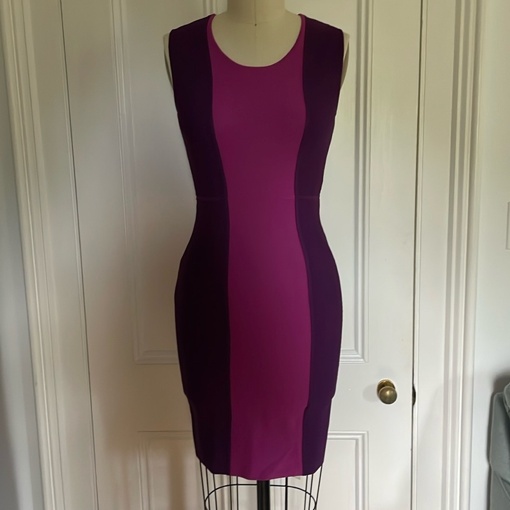 BCBG Max Azria Body Con Dress in plum and fuchia